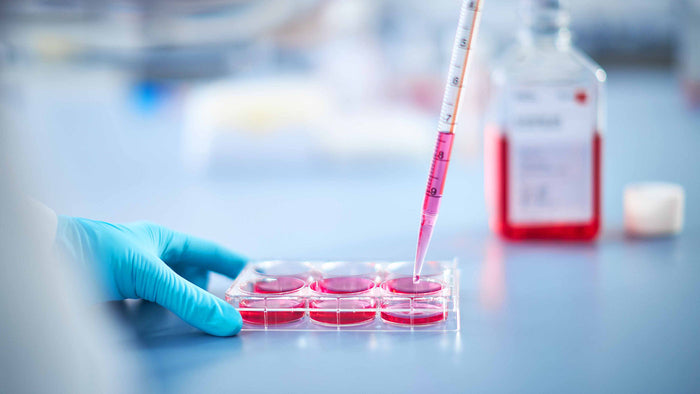 Could HLA-type be the answer to individual differences in COVID-19 severity?