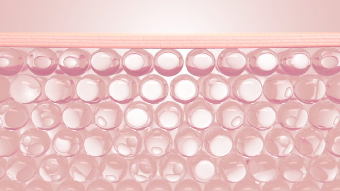 Introducing a novel high throughput 3D wound healing model