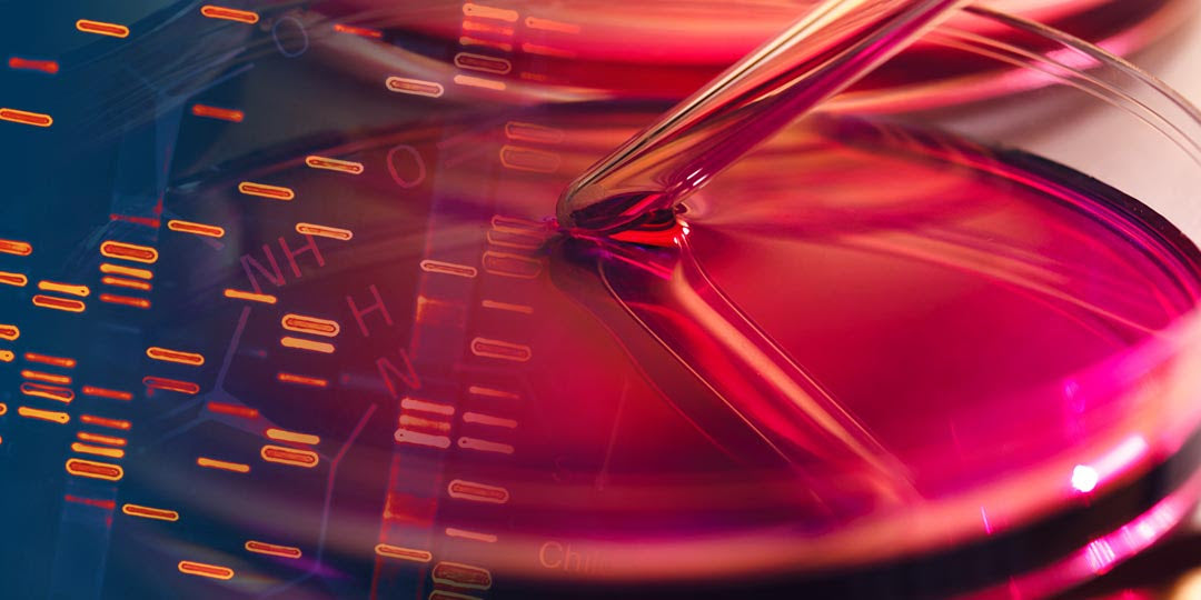 15 things about cell culture you might not know